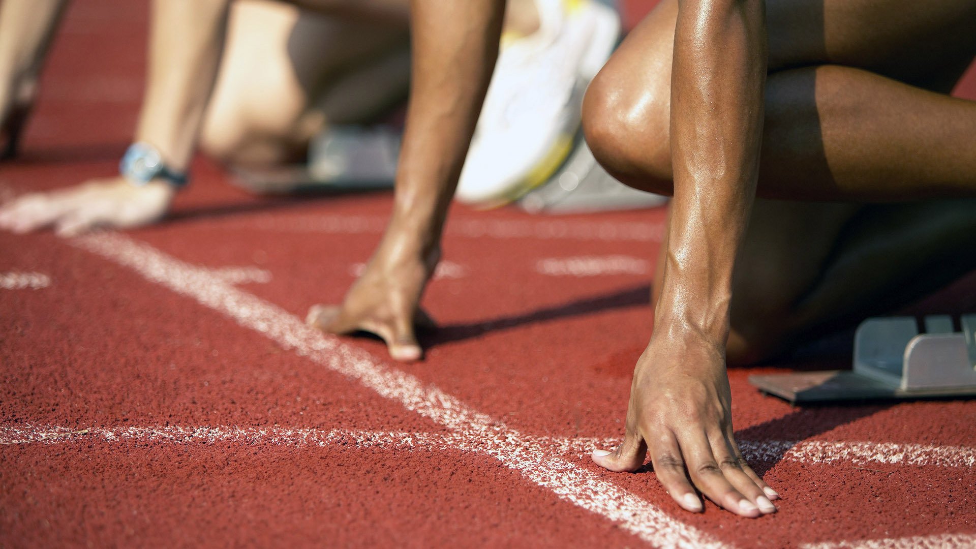 全球体育新闻热点回顾